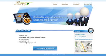 網(wǎng)頁與網(wǎng)站設(shè)計 企業(yè)形象的數(shù)字化窗口